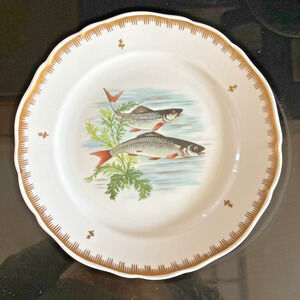 Hand Painted Fish Pattern Porcelain Dinner Plate Made In France Gold Gilt Rim